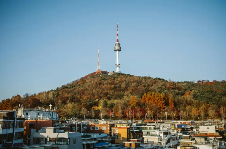 Namsan Tower on a wooded hill
