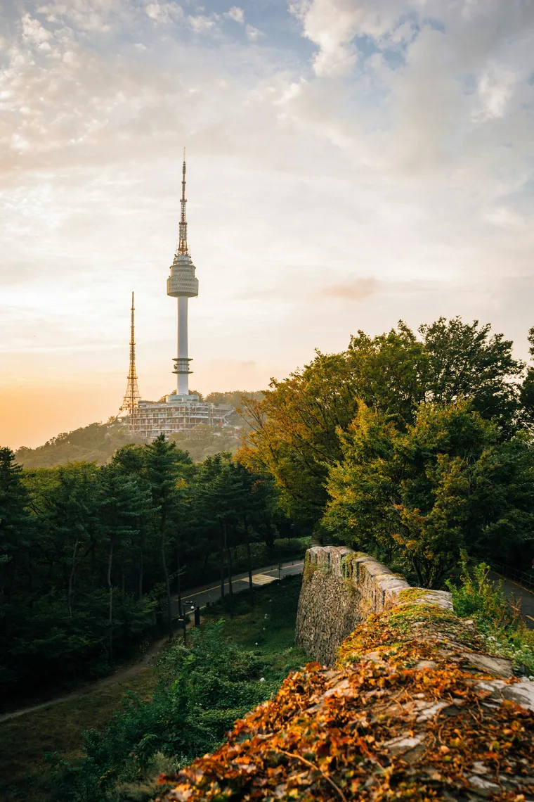 Namsan Tower above a forested hill and stone wall